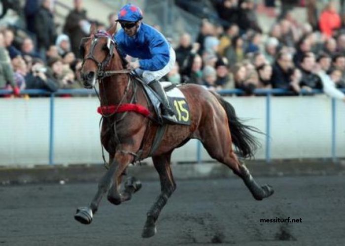 Club Hippique Gagnant