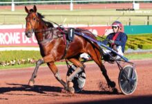 Expert Du Turf Pronostic Gratuit (1)
