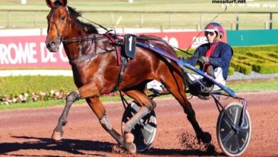 Expert Du Turf Pronostic Gratuit (1)