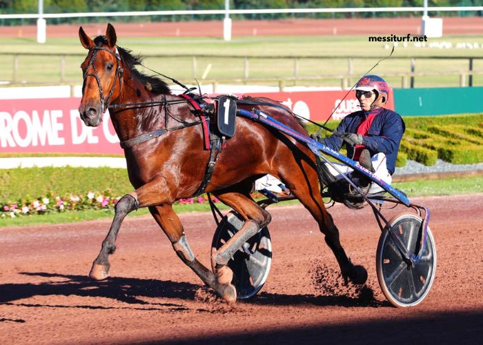 Expert Du Turf Pronostic Gratuit (1)