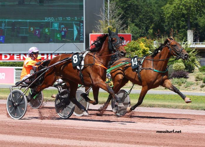 LA Cle Turf Présidentielle