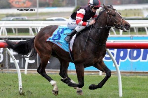 LA Richesse Turf