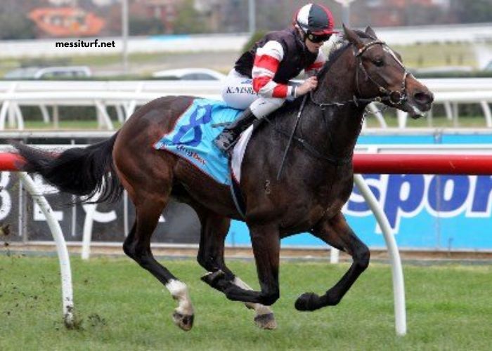 LA Richesse Turf