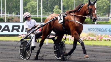 Maxi Prono Vérité