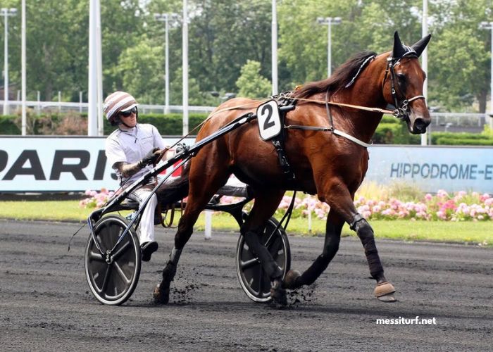 Maxi Prono Vérité