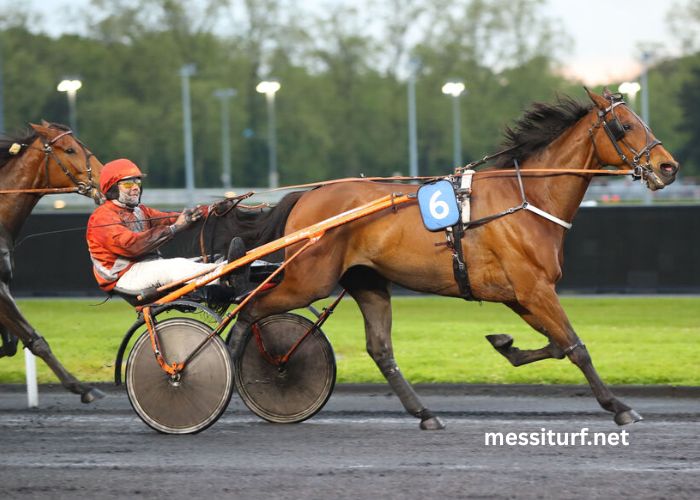 Messiturf: Best Website for Horse Race Tips and Daily Predictions