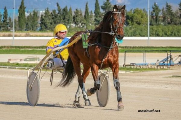 Prono Logique Turf Prono Logique Turf