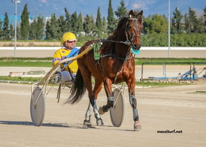 Prono Logique Turf