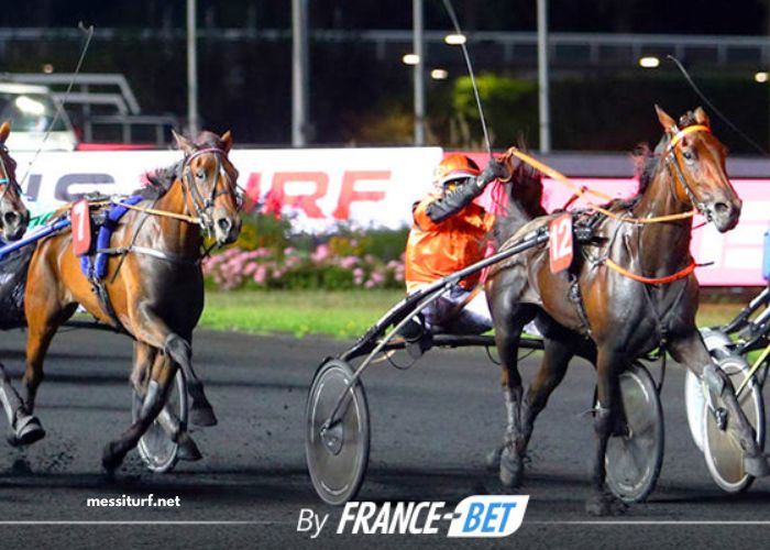 Pronostic Gratuit Turf 100 (1)