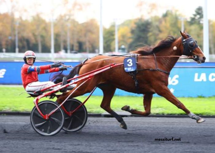 Pronostic Quinté Demain