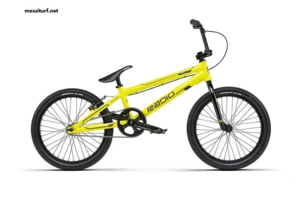 Xxl Pro 2021