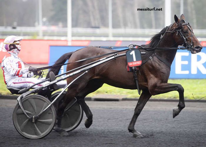 Zetop Trio Gagnant
