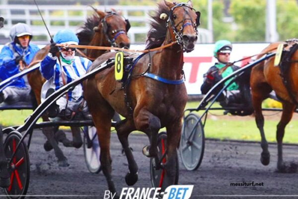 123 Milliardaire Turf