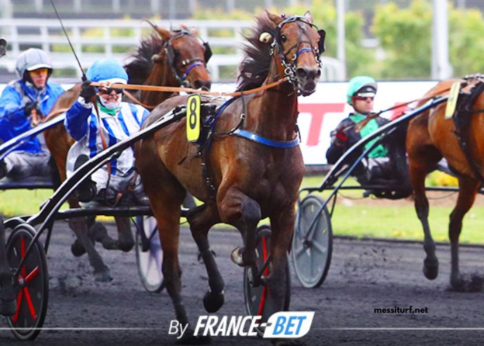 123 Milliardaire Turf