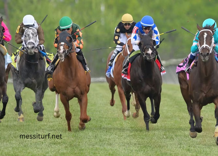 Understanding Turf Racing Culture