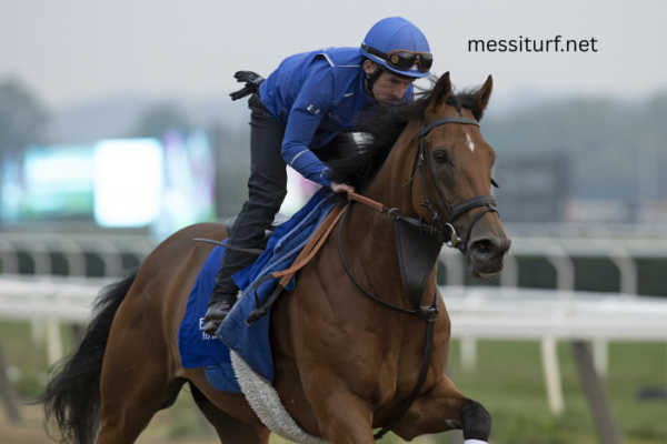 The Best Fashion Trends at Turf Race Meets