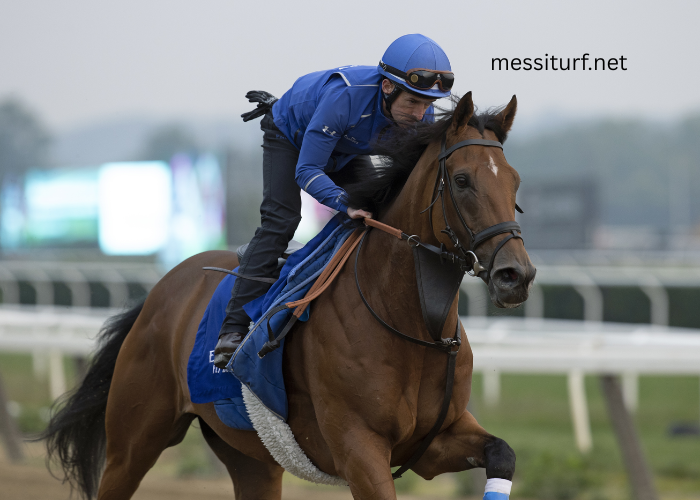 The Best Fashion Trends at Turf Race Meets
