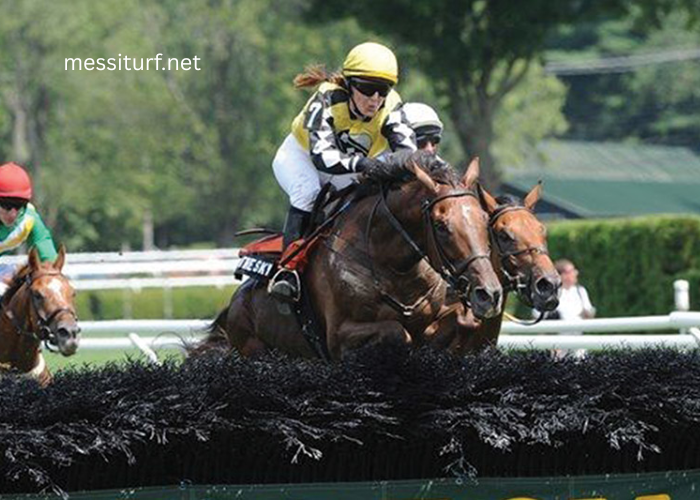 The Difference Between Steeplechase and Flat Turf Racing